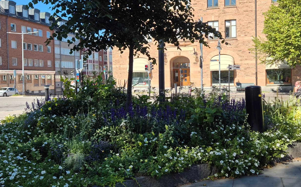 Storgatan 13 Lulea aug 2026.jpg