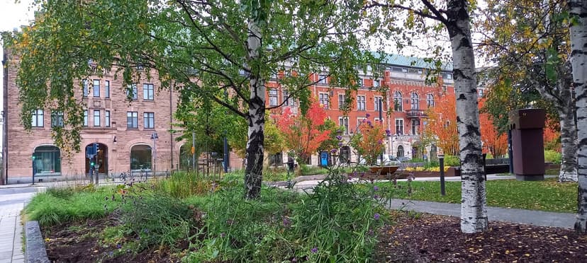 Internationella Reumatikerdagen lör 12 okt