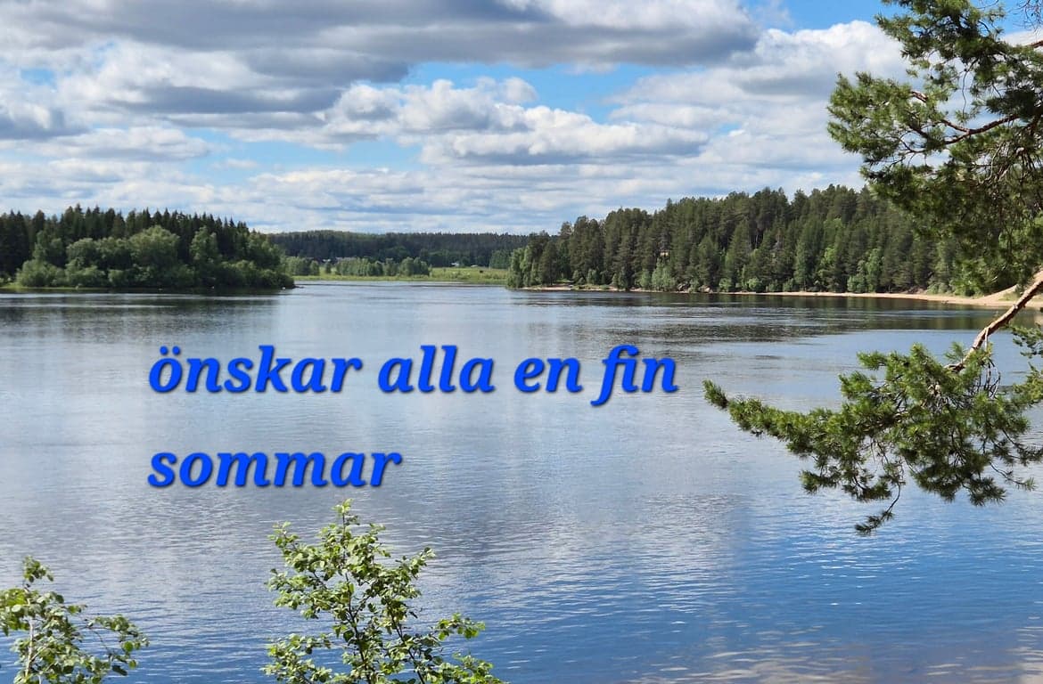 Sommar Karlsvik 2026.jpg